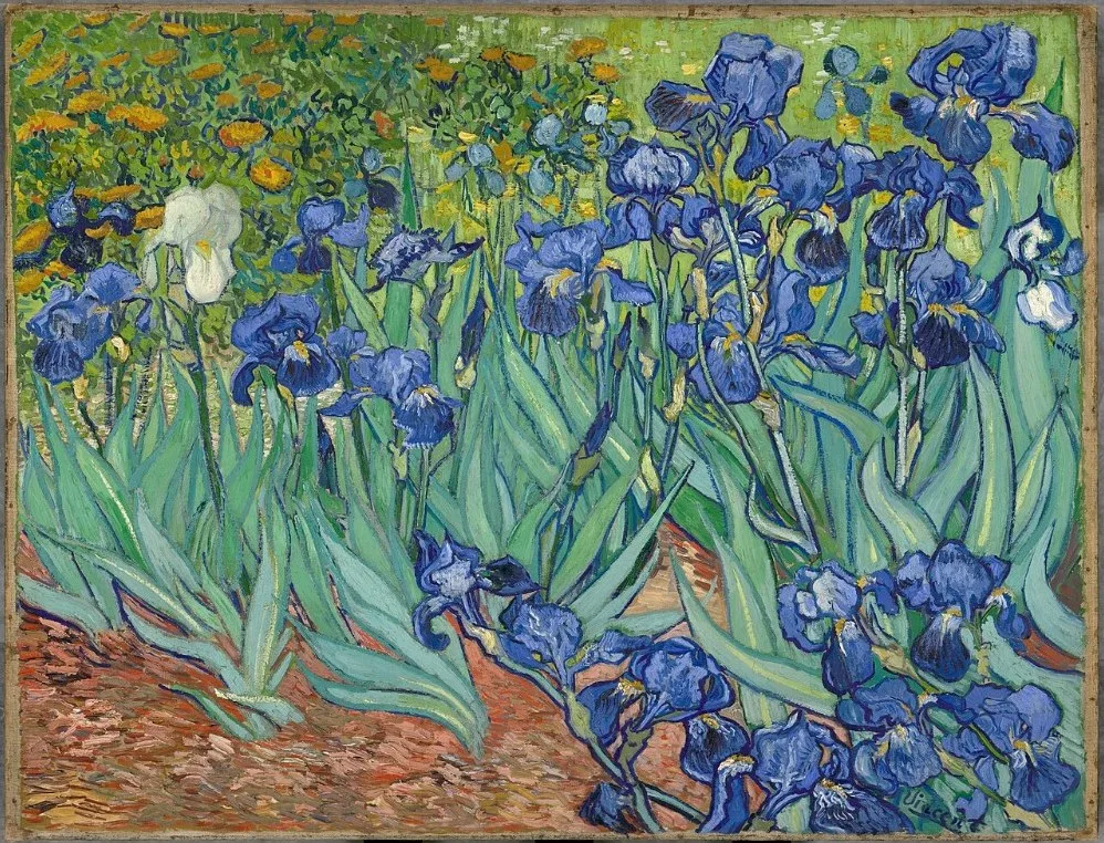 Irises by Vincent van Gogh